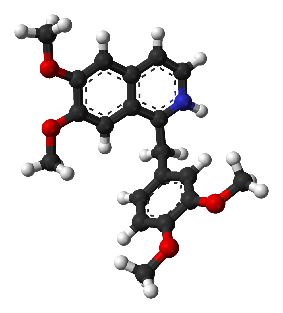 Un alcaloide anticancro: la Papaverina