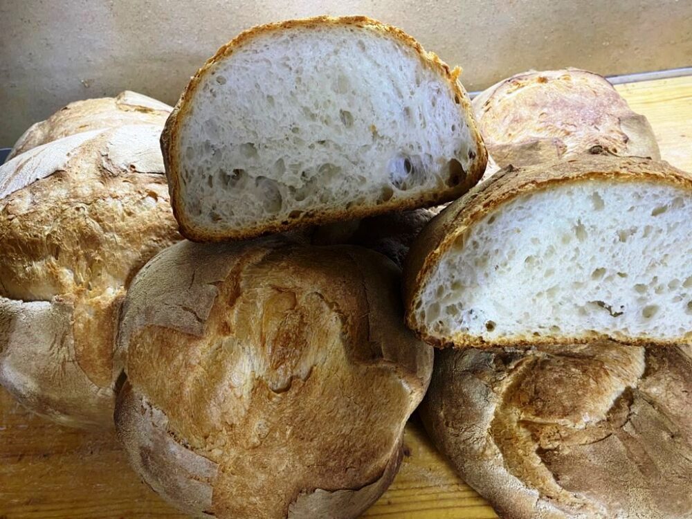 Pane di Altamura patrimonio dell'Unesco, ci si pensa