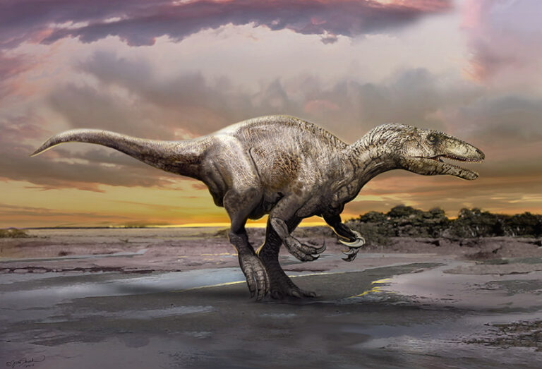 Nuovo dinosauro carnivoro scoperto in Argentina